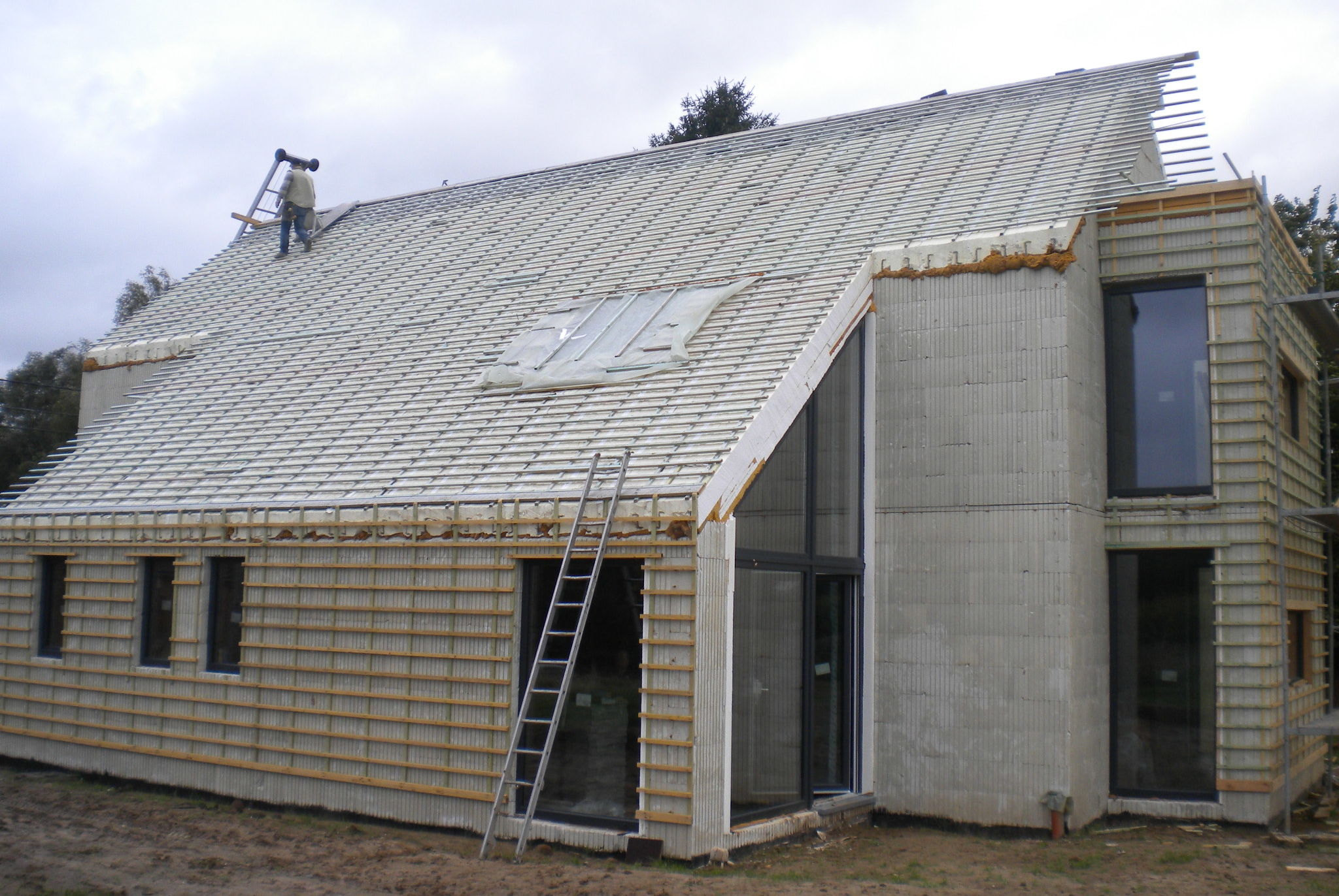 DSCN5510.JPG